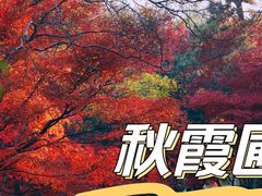-嘉北郊野公园