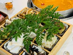 -花菇朵 ll 野生菌锅·精品滇菜(后沙峪店)