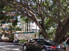 -福建中医药大学附属第二人民医院(本部)