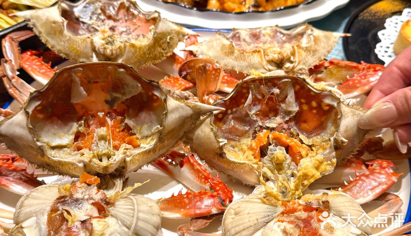 [礼花]凤霞海鲜楼·美食之旅开启🚢吃海鲜咯～