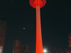-辽宁电视塔