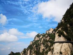 -阿五黄河大鲤鱼(纬三路店)