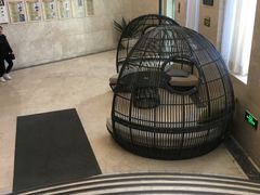 -DF游泳健身(贾家花园店)