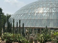 -深圳仙湖植物园