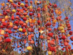 -好一朵茉莉花(老门东店)