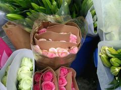 -秦美花卉(天朗·莱茵小城2期店)