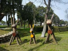 -上海多利农业发展有限公司