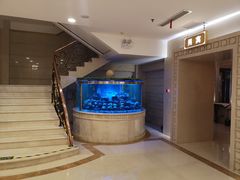 -碧中海汤泉汗蒸酒店