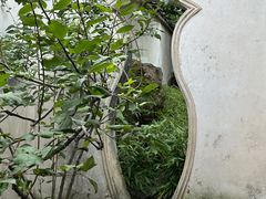 -耦园