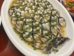 -呼吸森林·生态农庄农家乐私房菜