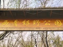 -西青郊野公园