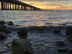 -宝安西湾红树林湿地公园