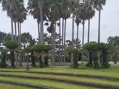 -柱状节理带
