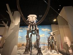 -国家自然博物馆