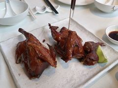 -侨美·唐荔园·40年地道粤菜