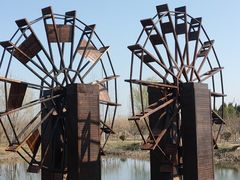 -泗洪洪泽湖湿地景区