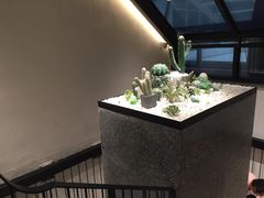 -大树餐厅(红旗街万达店)