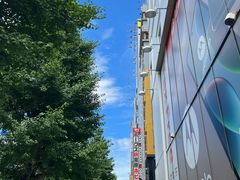 -秋叶原电器街