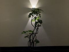 -涟LIAN·泰式按摩·MASSAGE·SPA(深业上城店)