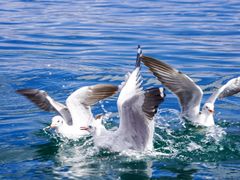 -丽江泸沽湖景区