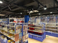 -Animate(工人体育场东路店)