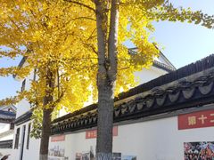 -丝绸小镇荻港古村