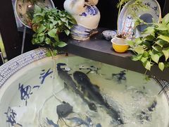 -南京金牛湖巨碗鱼头