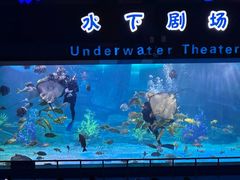 -泉城欧乐堡海洋极地世界