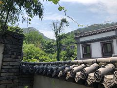 -老张烤羊(王哥庄店)