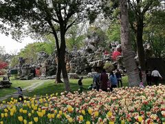 -上海鲜花港