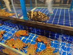 -百富源·海鲜辽菜(浑河堡店)