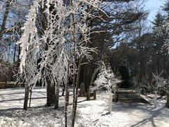 -轻井泽高原教堂