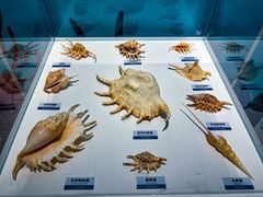 -陕西自然博物馆