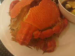 -天伦松鹤大饭店·欣妮咖啡
