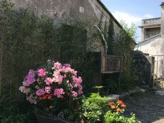 三文鱼-庭园西餐