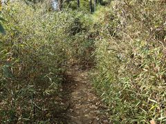 -穹窿山景区