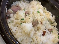 -鸽鸟轩(石岐店)