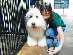 -TrueLove @ Neverland (Husky Cafe)