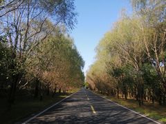 -同里国家湿地公园