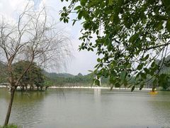 -南宁花花大世界景区