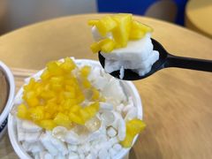 -豪叔椰冰(青春颂店)