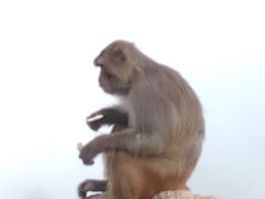 -崂山巨峰游览区