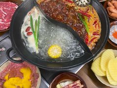 -阳阳老火锅(小南门店)