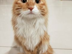 -平行世界·猫咖(首经贸店)