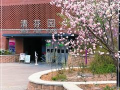 -清华大学-清芬园