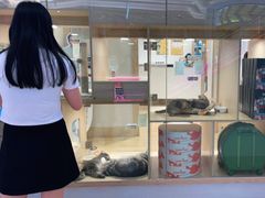 -屋虎猫馆(宝安大仟里店)