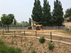 -石家庄市动物园