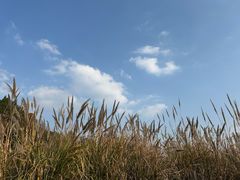 -金堂县云顶石城风景区