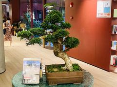 -二酉书店TOYOU BOOKS