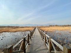 -野鸭湖国家湿地公园
